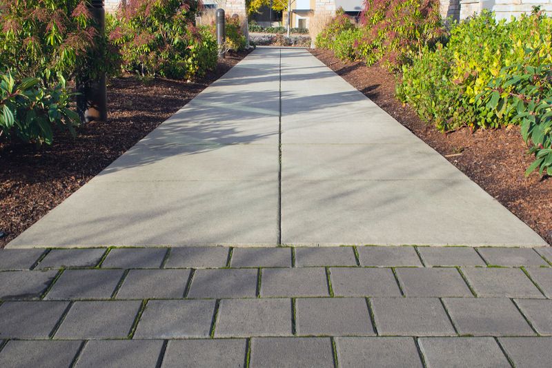 concrete footpath/walkway through garden