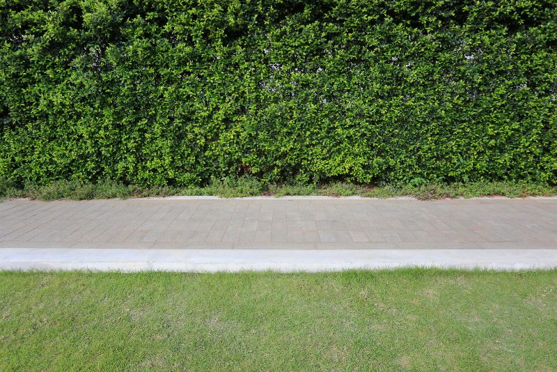 Concrete footpath installed alongside a garden hedge in Bundaberg